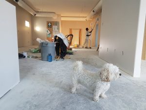 Read more about the article The Role of Permits in Local Remodeling Projects
