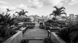 Read more about the article Landscape Designers Honolulu HI Transform City Living